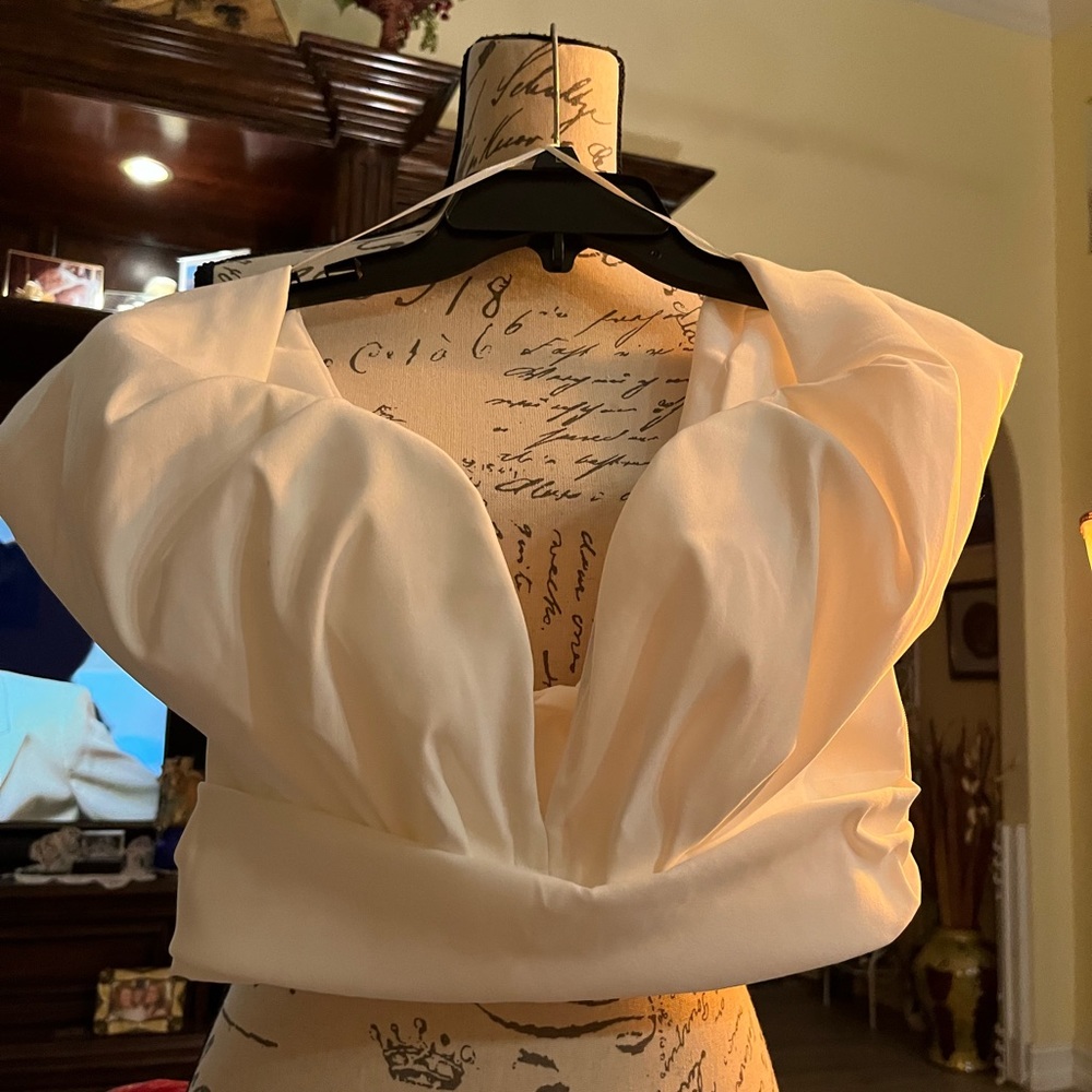 Zara med nwt so pretty top #22